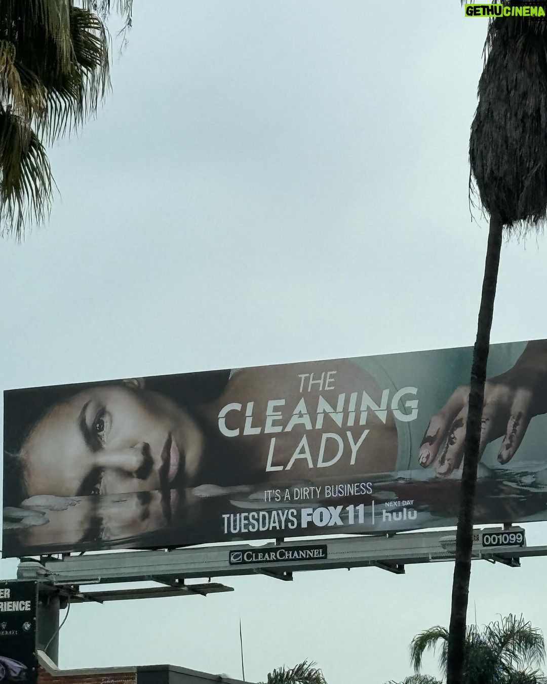 Shay Mitchell Instagram - We came, we saw, we cleaned 🫧 Thank you to everyone who came out, Thank you to everyone who made this happen And thank you to my incredible team who continues to go above and beyond doesn’t flinch at crazy ideas