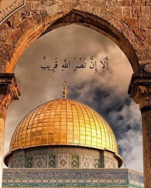 Shejoun Instagram - ‏اللهم انصر اخواننا في فلسطين وارفع عنهم الظلم والاضطهاد وأعنهم على الصمود والثبات.. اللهم احفظهم وسدد خطاهم وارزقهم النصر المبين. 

‏اللهم احفظ القدس وأهلها يارب العالمين 🇵🇸