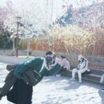 Shen Yue Instagram - 🌸🌸