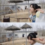 Shen Yue Instagram - 和朋友们去动物园