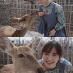 Shen Yue Instagram - 和朋友们去动物园