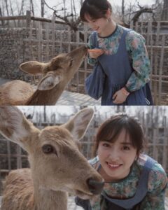 Shen Yue Instagram - 和朋友们去动物园