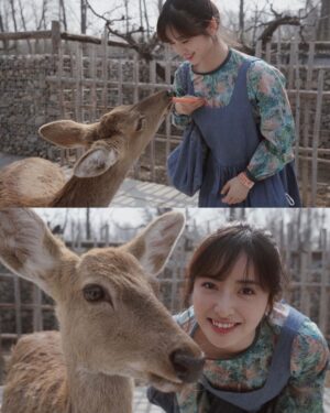 Shen Yue Instagram - 和朋友们去动物园