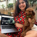 Shenaz Treasurywala Instagram - Even doggy loves this show! ❤️ Weekend suggestion: Poacher is my recommendation if you love thrillers. I’m still on an emotional roller coaster ride after watching! An eco-thriller series that took me on an emotional journey, emphasizing the significance of wildlife conservation! #poacher #amazonprime What show are you watching these days? #doggyapproved #bingebuddies Mumbai, Maharashtra