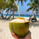 Sherif Ramzy Instagram - A passion of Tropical life 🏝🌴🍹🥥 Swipe till the end to watch how they make it @maldives_360 @furaveriresort