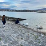 Sherif Ramzy Instagram - Nature 🦢