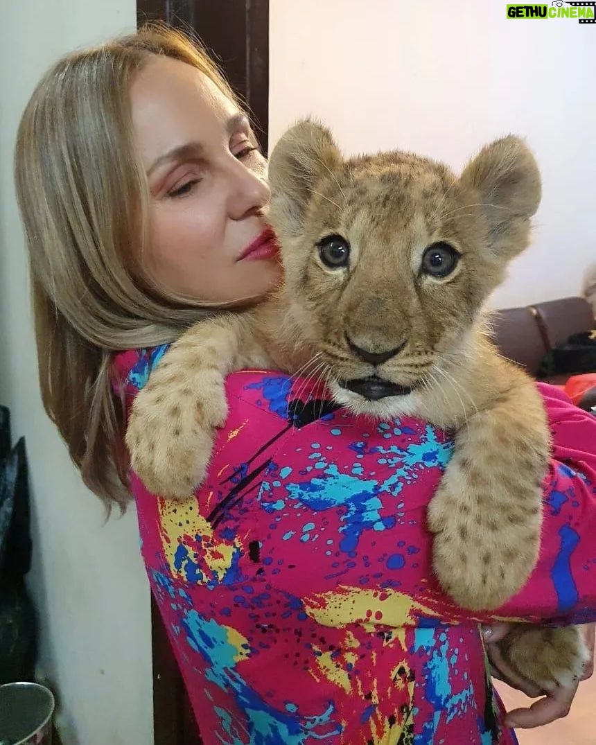 Sherine Reda - 75.4K Likes - Just a little adorable kitty 😄🥰