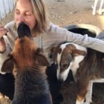 Sherine Reda Instagram – Merry Christmas 🎄

Wishing I could be spending #Christmas with my furry friends at @animal.protection.eg 😍

#PositiveVibes
#AnimalShelter
#Animals
#ChristmasVibes
