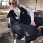 Sherine Reda Instagram – Merry Christmas 🎄

Wishing I could be spending #Christmas with my furry friends at @animal.protection.eg 😍

#PositiveVibes
#AnimalShelter
#Animals
#ChristmasVibes