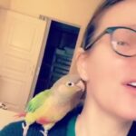 Sherine Reda Instagram – 🦜: Let’s go out.⠀
Me:⠀
⠀
⠀
#StaySafe #StayHome #Quarantine #QuarantineLife #Corona