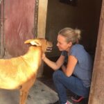 Sherine Reda Instagram - These pictures are from my last visit to @animal.protection.eg , cant express the amount of genuine love I had ♥️. If you can save a homeless dog or a cat always adopt and never buy, show these lovely animals some love, they deserve to be loved 🐾♥️ . . #AdoptBaladiDogs #AdoptDontShop