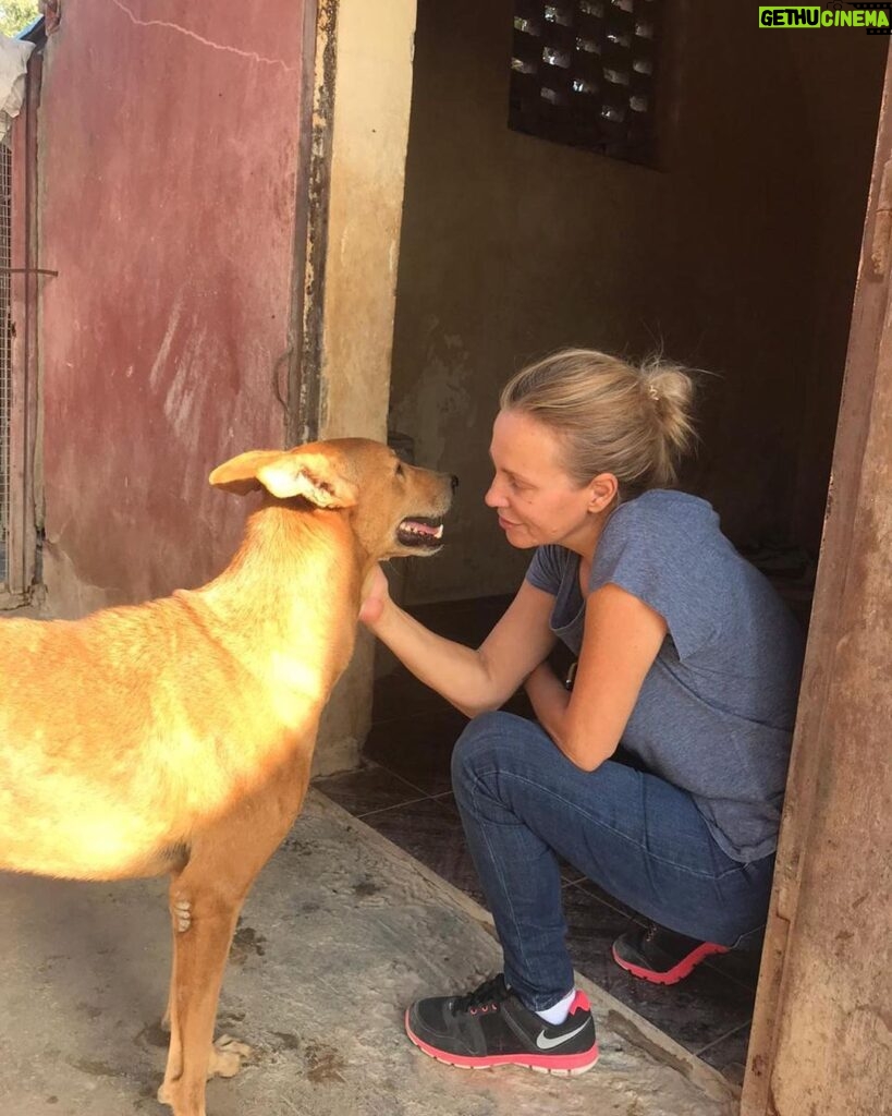 Sherine Reda Instagram - These pictures are from my last visit to @animal.protection.eg , cant express the amount of genuine love I had ♥️. If you can save a homeless dog or a cat always adopt and never buy, show these lovely animals some love, they deserve to be loved 🐾♥️ . . #AdoptBaladiDogs #AdoptDontShop