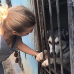 Sherine Reda Instagram - These pictures are from my last visit to @animal.protection.eg , cant express the amount of genuine love I had ♥️. If you can save a homeless dog or a cat always adopt and never buy, show these lovely animals some love, they deserve to be loved 🐾♥️ . . #AdoptBaladiDogs #AdoptDontShop