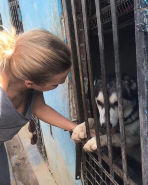 Sherine Reda Instagram - These pictures are from my last visit to @animal.protection.eg , cant express the amount of genuine love I had ♥️. If you can save a homeless dog or a cat always adopt and never buy, show these lovely animals some love, they deserve to be loved 🐾♥️ .
.
#AdoptBaladiDogs
#AdoptDontShop
