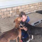 Sherine Reda Instagram - These pictures are from my last visit to @animal.protection.eg , cant express the amount of genuine love I had ♥️. If you can save a homeless dog or a cat always adopt and never buy, show these lovely animals some love, they deserve to be loved 🐾♥️ . . #AdoptBaladiDogs #AdoptDontShop