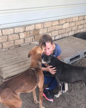 Sherine Reda Instagram - These pictures are from my last visit to @animal.protection.eg , cant express the amount of genuine love I had ♥️. If you can save a homeless dog or a cat always adopt and never buy, show these lovely animals some love, they deserve to be loved 🐾♥️ .
.
#AdoptBaladiDogs
#AdoptDontShop
