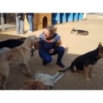 Sherine Reda Instagram - These pictures are from my last visit to @animal.protection.eg , cant express the amount of genuine love I had ♥️. If you can save a homeless dog or a cat always adopt and never buy, show these lovely animals some love, they deserve to be loved 🐾♥️ . . #AdoptBaladiDogs #AdoptDontShop