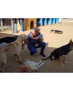 Sherine Reda Instagram - These pictures are from my last visit to @animal.protection.eg , cant express the amount of genuine love I had ♥️. If you can save a homeless dog or a cat always adopt and never buy, show these lovely animals some love, they deserve to be loved 🐾♥️ .
.
#AdoptBaladiDogs
#AdoptDontShop