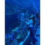 Sherry Adel Instagram – Loved experiencing Dubai Aquarium & Underwater Zoo which is one of the largest suspended aquariums in the world. Being in an underwater tunnel under a huge shark & ray-filled tank was one of a kind experience😍 @dubaiaquarium #dubaiaquarium #دبي
@dsfsocial
#dubai #mydsf #dfsturns25 #visitdubai