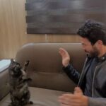 Sherry Adel Instagram – Omar & Zozo 🤦♂️😻
#cat #zozo #mine #omar_elshenawy Sheikh Zayed City