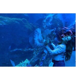 Sherry Adel Instagram - Loved experiencing Dubai Aquarium & Underwater Zoo which is one of the largest suspended aquariums in the world. Being in an underwater tunnel under a huge shark & ray-filled tank was one of a kind experience😍 @dubaiaquarium #dubaiaquarium  #دبي 
@dsfsocial 
#dubai #mydsf #dfsturns25 #visitdubai
