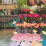 Sherry Adel Instagram – #flowers ❤