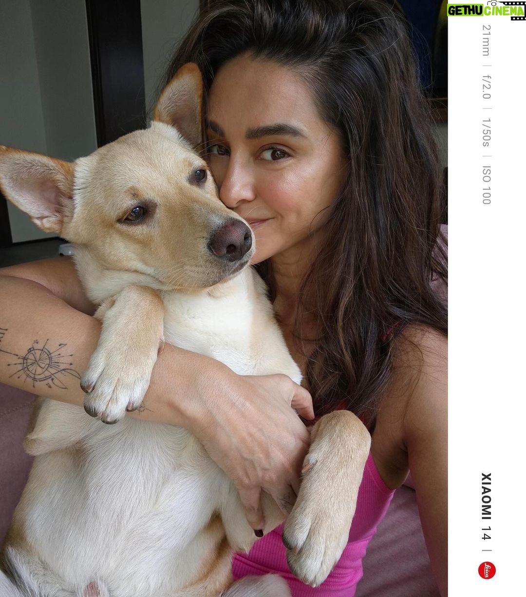 Shibani Dandekar Instagram - Had to bribe baby boy with cheese so that he would take pictures with mamma 🧀 Rumaloo you are growing so quickly and turning the house upside down! We love you ❤️ #RumiAkhtar #Xiaomi14Series #SeeItInNewLight #Xiaomi14 #xiaomi14ultra