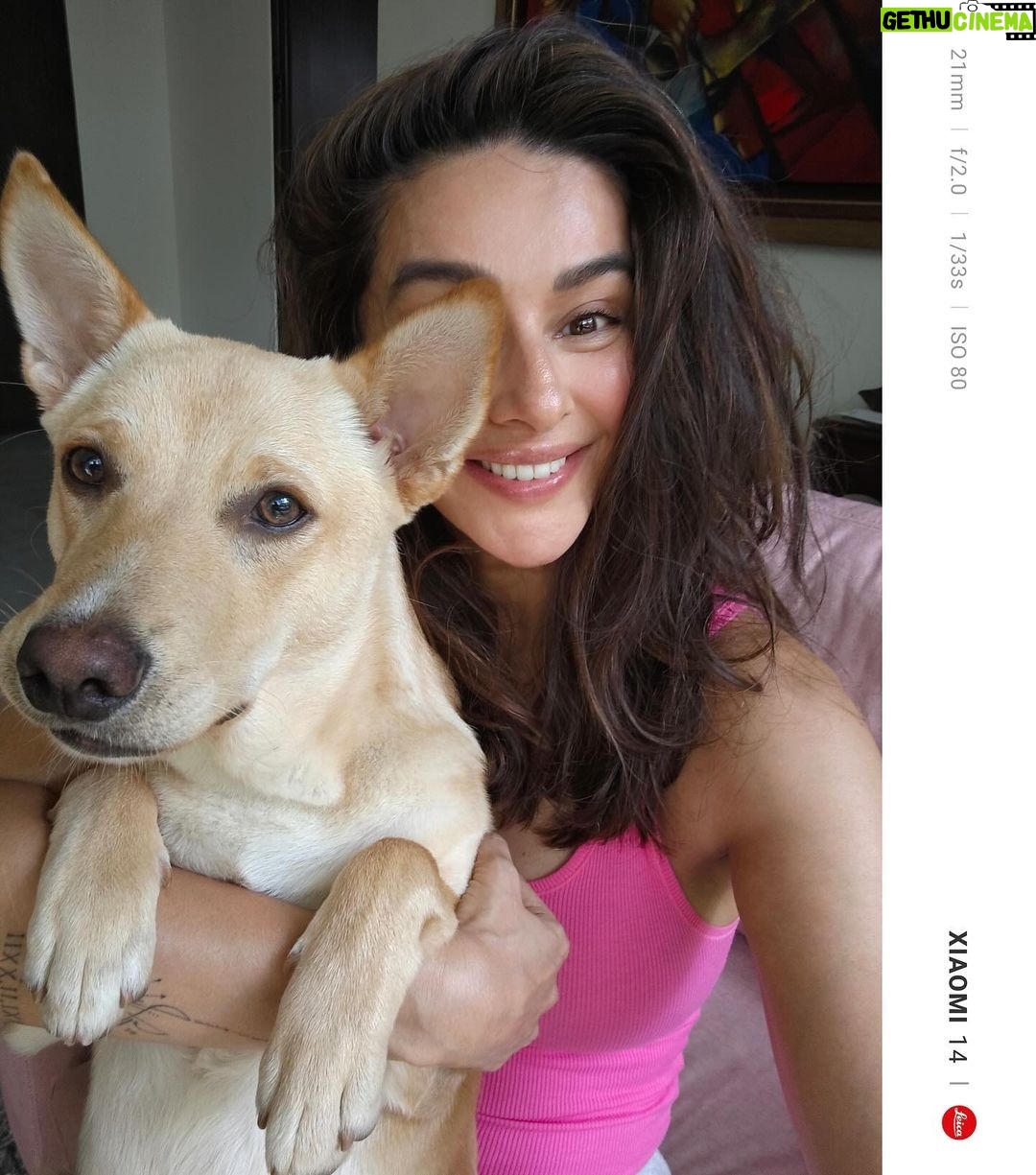 Shibani Dandekar Instagram - Had to bribe baby boy with cheese so that he would take pictures with mamma 🧀 Rumaloo you are growing so quickly and turning the house upside down! We love you ❤️ #RumiAkhtar #Xiaomi14Series #SeeItInNewLight #Xiaomi14 #xiaomi14ultra