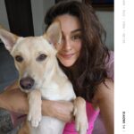 Shibani Dandekar Instagram - Had to bribe baby boy with cheese so that he would take pictures with mamma 🧀 Rumaloo you are growing so quickly and turning the house upside down! We love you ❤️ #RumiAkhtar #Xiaomi14Series #SeeItInNewLight #Xiaomi14 #xiaomi14ultra