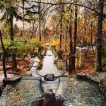 Shila Khodadad Instagram - هرگز تسلیم نشوید معجزه ها هر روز رخ می دهند شاید امروز روز شما باشد...