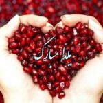 Shila Khodadad Instagram -
