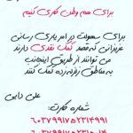 Shila Khodadad Instagram -