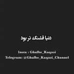 Shila Khodadad Instagram -