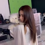 Shin Se-kyung Instagram - 강아지 이름: 양송이✨🧡 귀여웡..