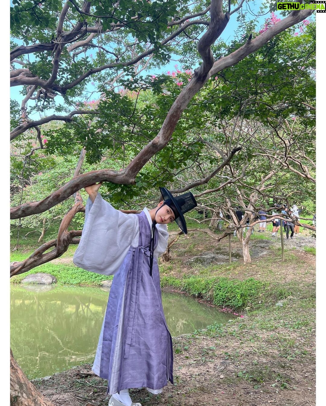 Shin Se-kyung Instagram - @tvn_drama tvN 세작, 매혹된 자들 21:20 1, 2화 연속방송 합니다🫶🏼 많관부!💕