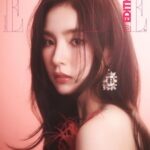 Shin Se-kyung Instagram - @ellekorea ✨💕✨ @rogervivier 👑💝👛✨