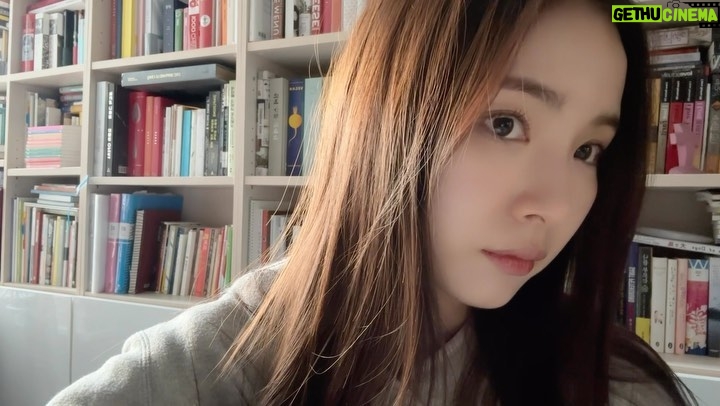 Shin Se-kyung Instagram - 크리스마스 케이크 3종 만드는 브이로구 방금 올렸어요🌝💛 링크는 프로필에, 스토리에 있습니당🎄 메리 크리스마스✨❤️