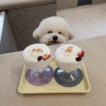 Shin Se-kyung Instagram - 생일축하해 사랑이🫶🏼😌