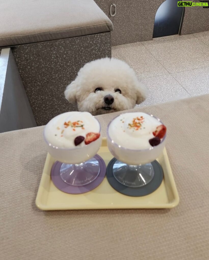 Shin Se-kyung Instagram - 생일축하해 사랑이🫶🏼😌