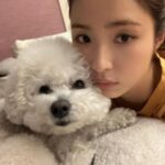 Shin Se-kyung Instagram - 랑이일까 국이일까 (정답:신진국💛 사랑이 닮게 나왔죠..? 사진이..😌)