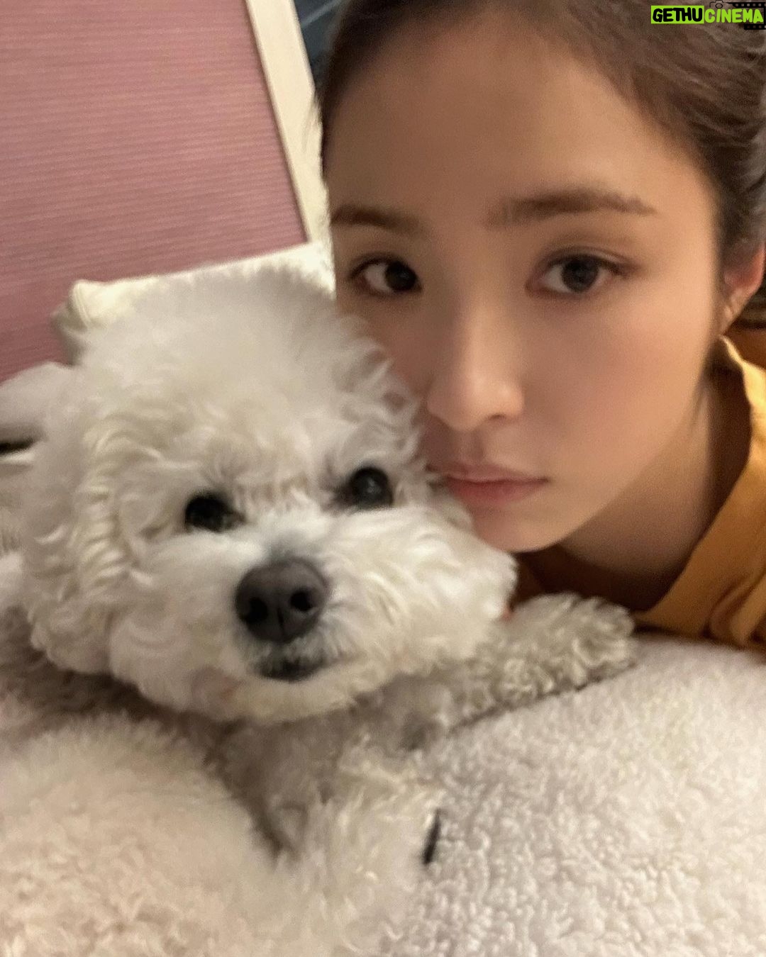Shin Se-kyung Instagram - 랑이일까 국이일까 (정답:신진국💛 사랑이 닮게 나왔죠..? 사진이..😌)