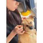 Shin Se-kyung Instagram - 우리 현장🧡