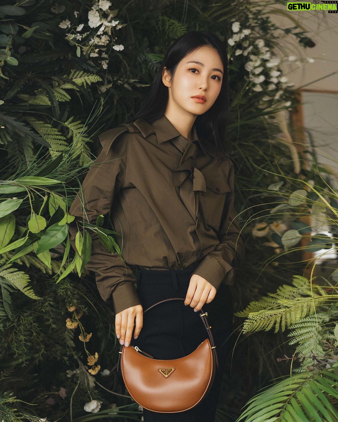Shin Ye-eun Instagram - 가을이다🍂🌳 @prada #PradaArque #PradaFW23 #ad