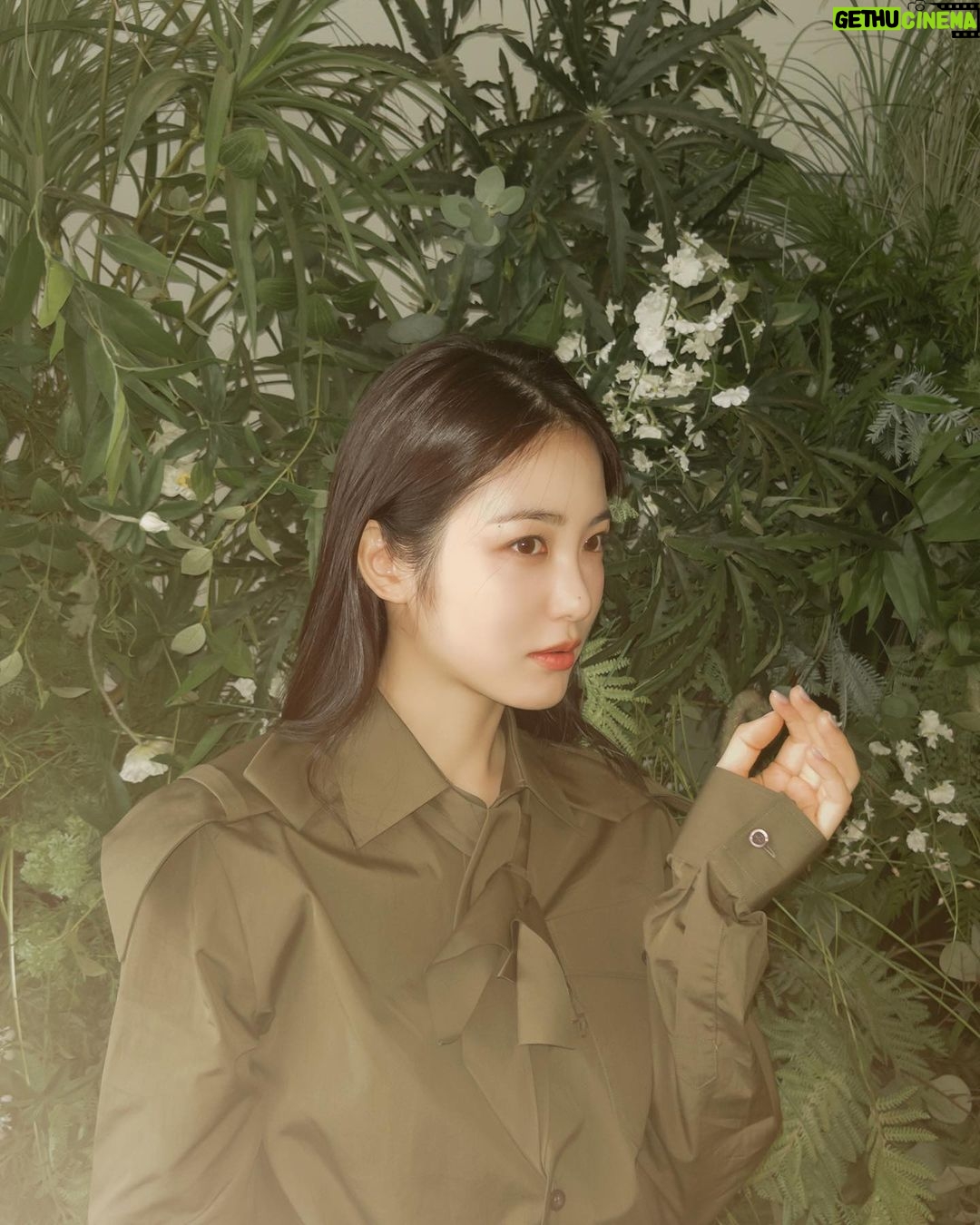 Shin Ye-eun Instagram - 가을이다🍂🌳 @prada #PradaArque #PradaFW23 #ad