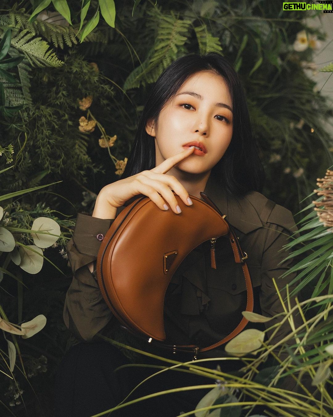 Shin Ye-eun Instagram - 가을이다🍂🌳 @prada #PradaArque #PradaFW23 #ad