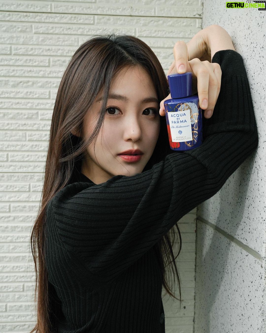 Shin Ye-eun Instagram - π©΅μλ‘±νλ€..β¨ @acquadiparma #ad #μμΏ μλνλ₯΄λ§ #μλμΉμμ€νΈλλλΌ #λΈλ£¨λ©λλΌλΌλ€μ€ #AcquadiParma #AranciaLaSpugnatura #BluMediterraneo
