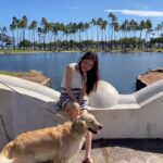 Shin Ye-eun Instagram - 귀여운게 많아🥿👡 그리고🐶 Waikiki, Hawaii