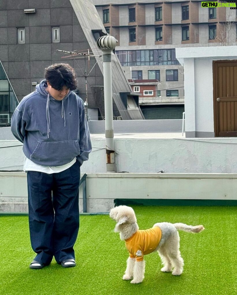 Shindong Instagram - 💁 [사진 제목] 📷 어디보고있게 / 이거 찍으라고 / 제로콜라 남친짤 / 음식과 투샷 / 더빱아 / 달려 / 하나 줄까? / 두개 다 내꺼