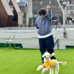 Shindong Instagram - 💁 [사진 제목] 📷 어디보고있게 / 이거 찍으라고 / 제로콜라 남친짤 / 음식과 투샷 / 더빱아 / 달려 / 하나 줄까? / 두개 다 내꺼