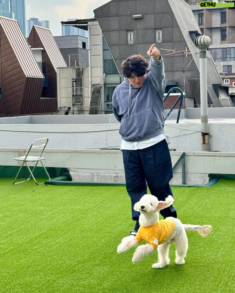 Shindong Instagram - 💁 [사진 제목] 📷 어디보고있게 / 이거 찍으라고 / 제로콜라 남친짤 / 음식과 투샷 / 더빱아 / 달려 / 하나 줄까? / 두개 다 내꺼